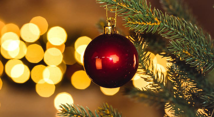 Holiday Cheers